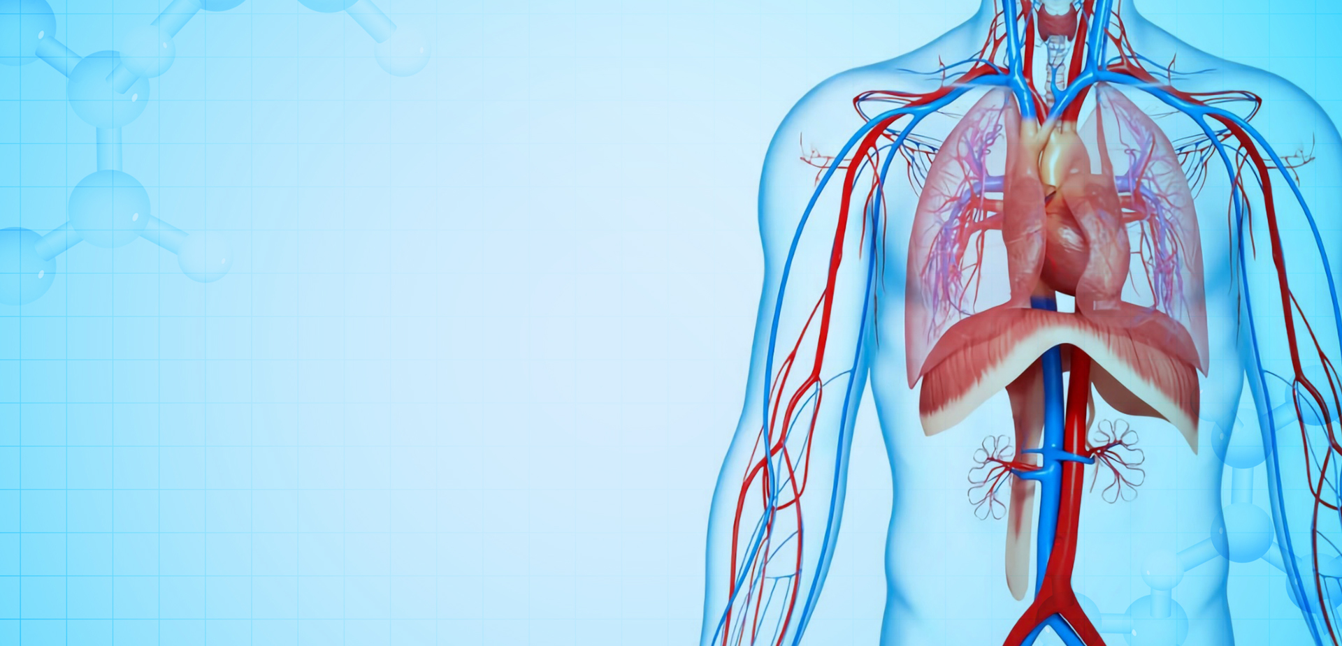 NINGBO LINSTANT POLYMER วัสดุ CO,. บจก.