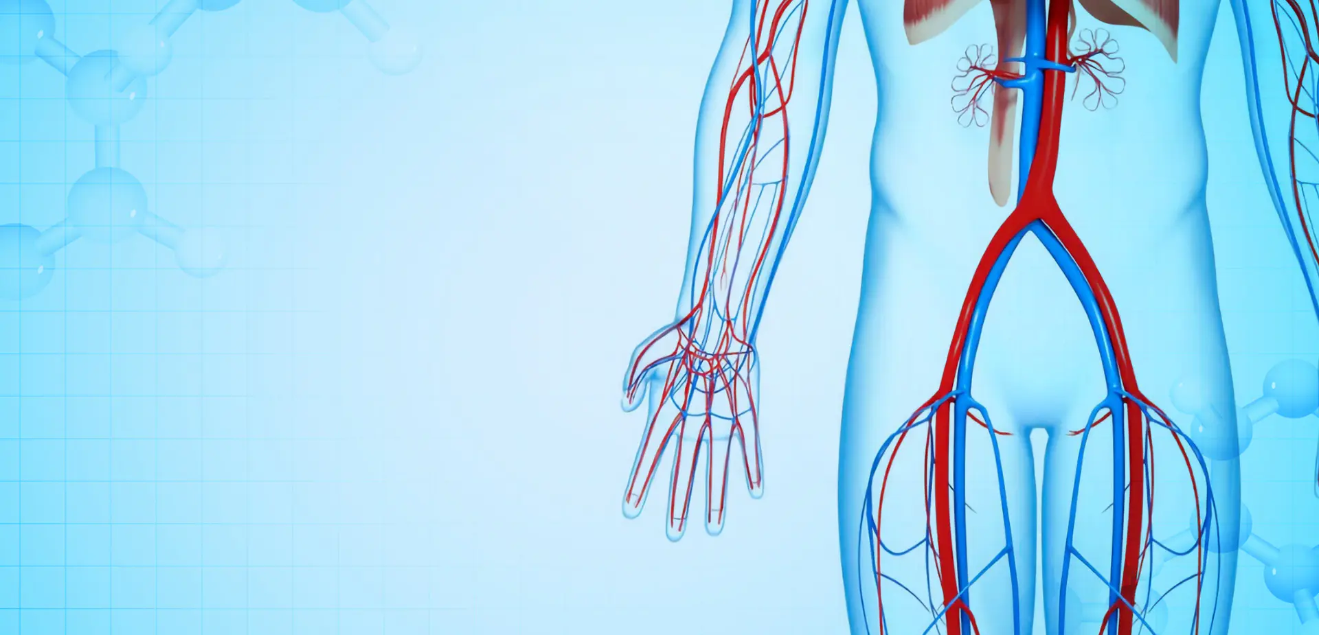 NINGBO LINSTANT POLYMER วัสดุ CO,. บจก.