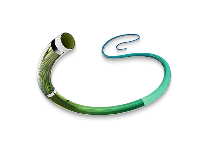 ไมโครสายสวน