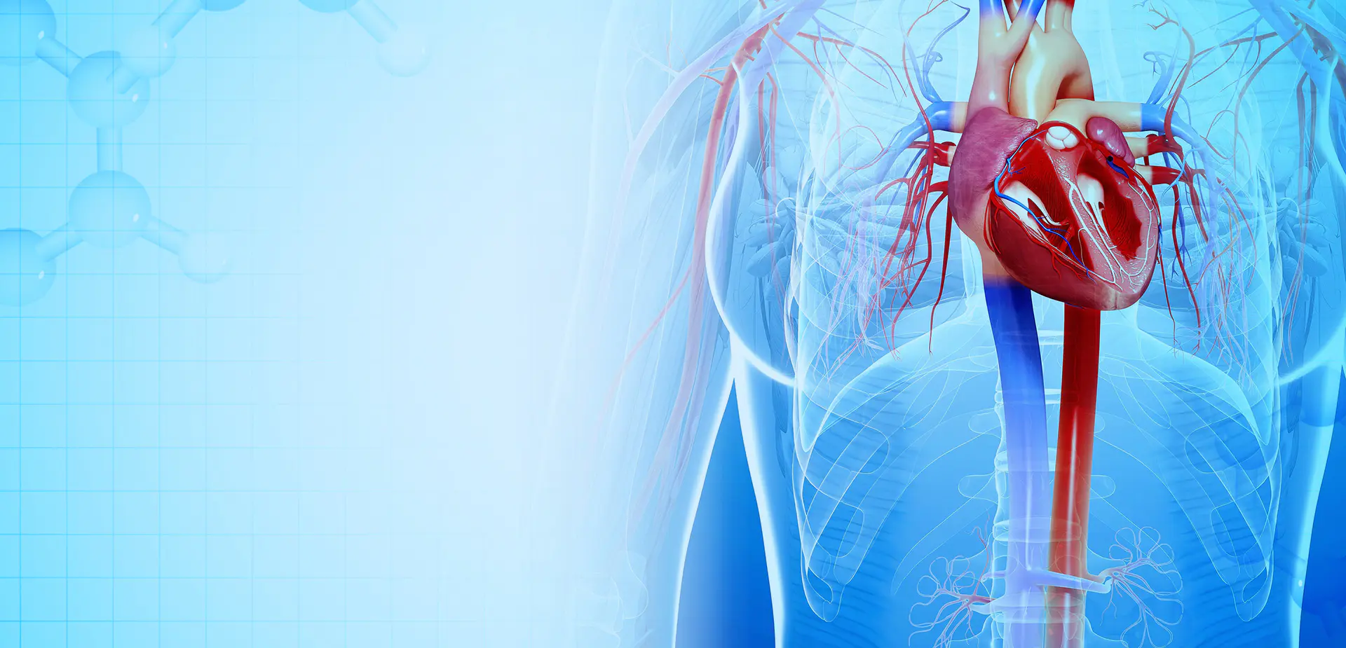 NINGBO LINSTANT POLYMER วัสดุ CO,. บจก.