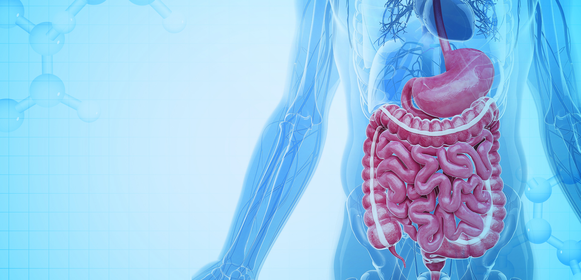 NINGBO LINSTANT POLYMER วัสดุ CO,. บจก.