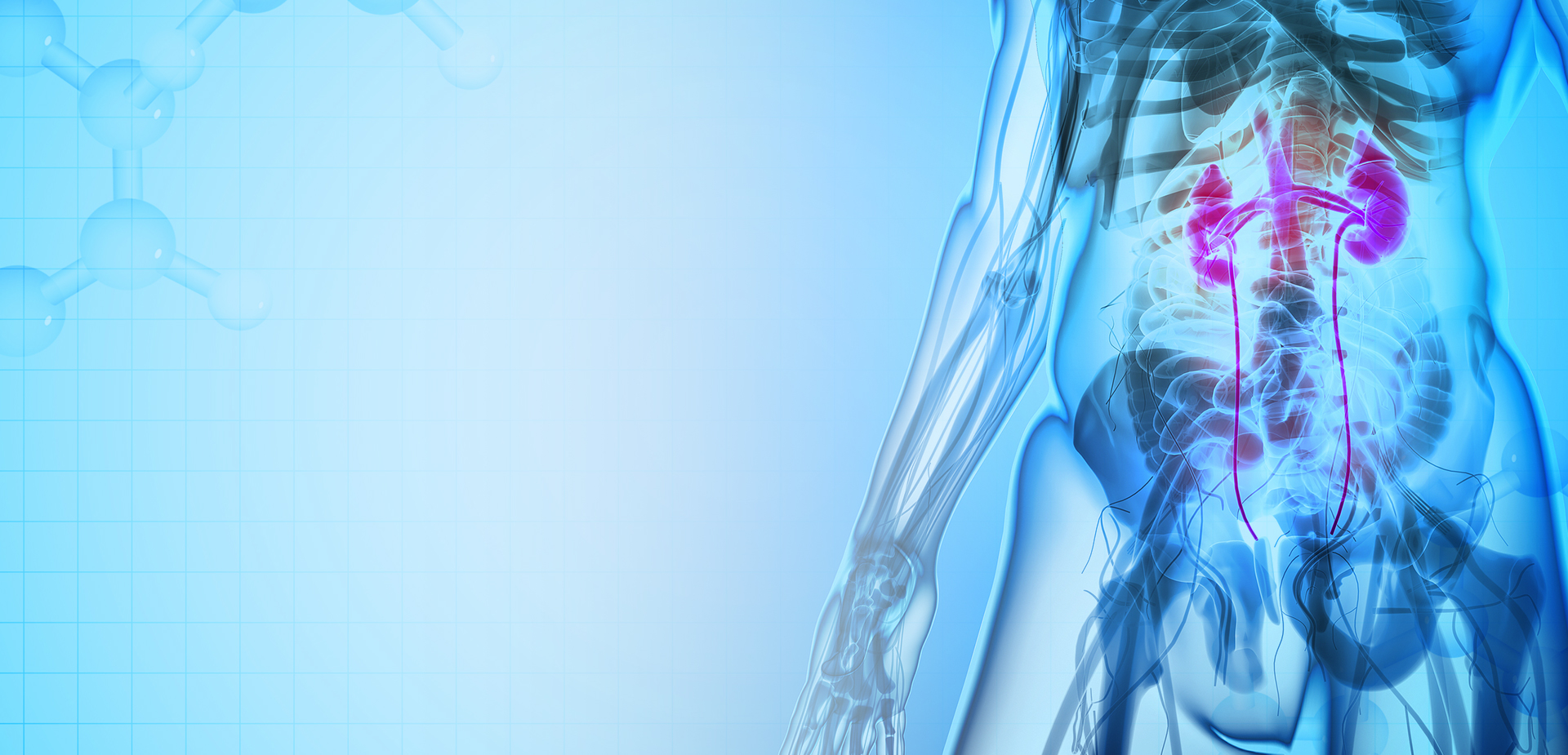 NINGBO LINSTANT POLYMER วัสดุ CO,. บจก.