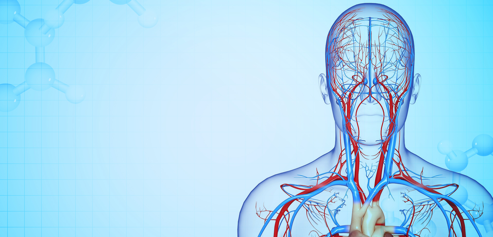 NINGBO LINSTANT POLYMER วัสดุ CO,. บจก.